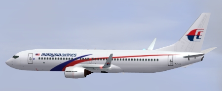 MAS-B738(1).jpg