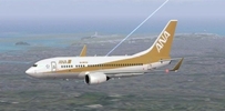 ANA 全日空B737-700 - Gold Jet