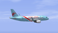CDC 浙江长龙航空 A319