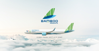 BAV 越竹航空 Bamboo Airways A32X系列 pack合集包