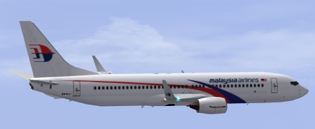 MAS-B738(2).jpg